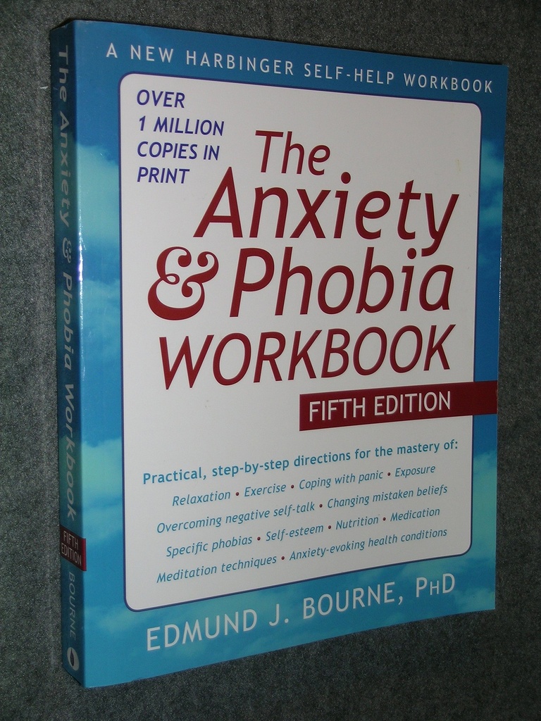 The Anxiety And Phobia Workbook 